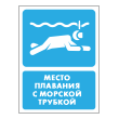 Знак «Место плавания с морской трубкой», БВ-41 (пластик 2 мм, 300х400 мм)